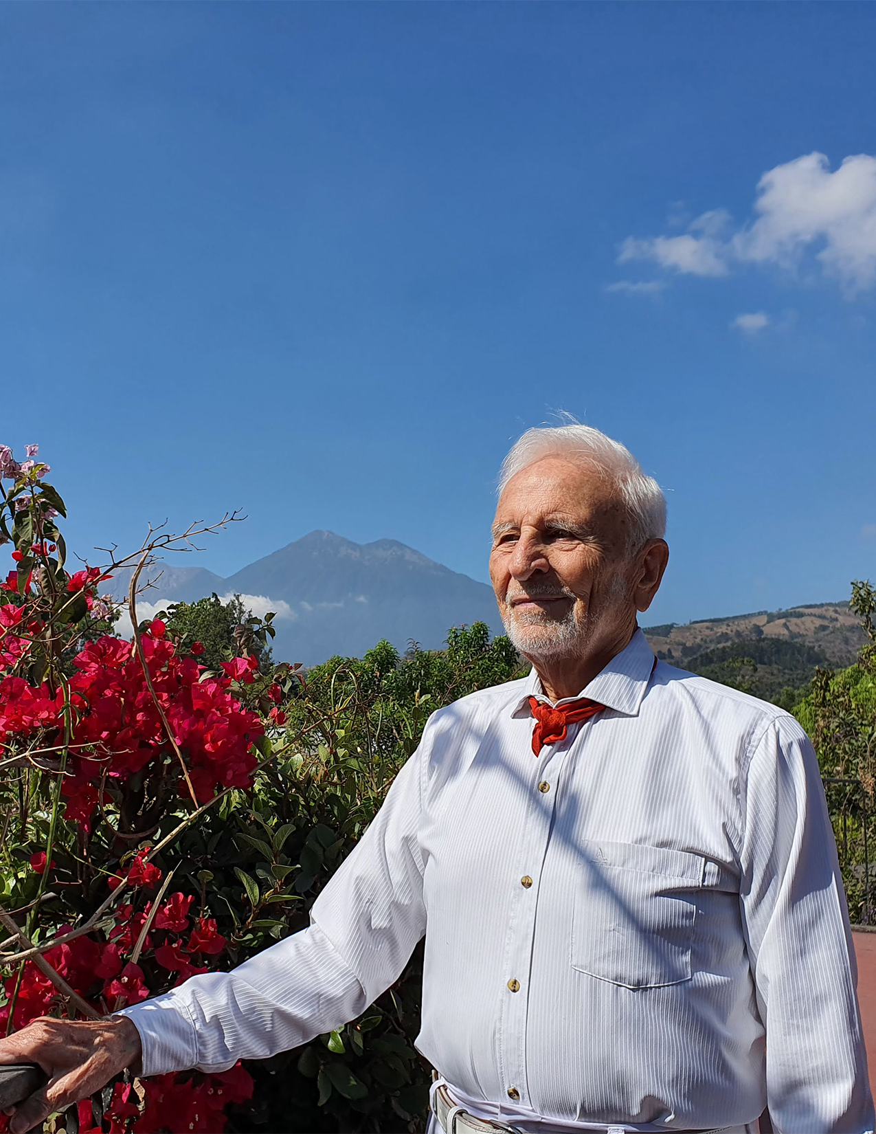 Peter on the Rooftop